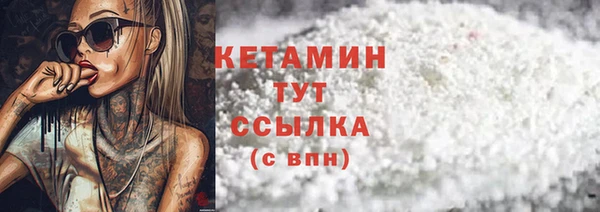 ГАЛЛЮЦИНОГЕННЫЕ ГРИБЫ Заволжье