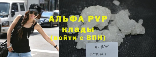 ГАЛЛЮЦИНОГЕННЫЕ ГРИБЫ Заволжье