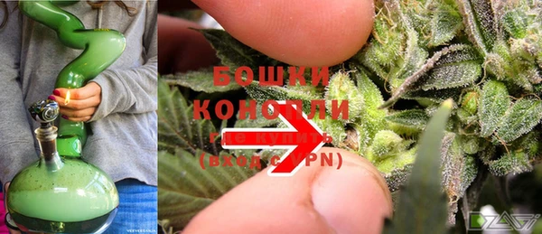 ГАЛЛЮЦИНОГЕННЫЕ ГРИБЫ Заволжье